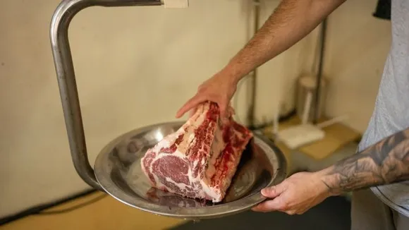 beef-stock-carne-meat-argentina-2182482