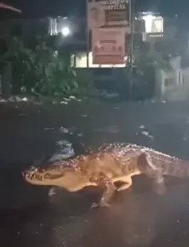 maharastra 