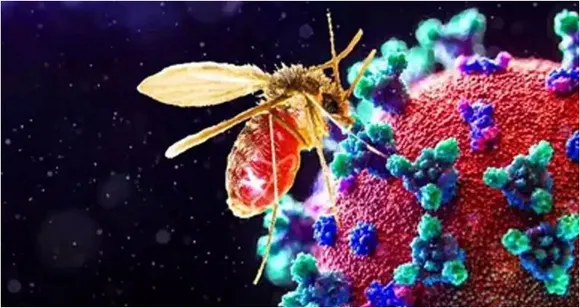 virus  