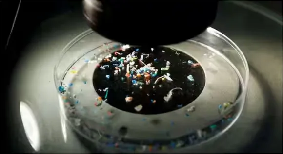 microplastic in human brain