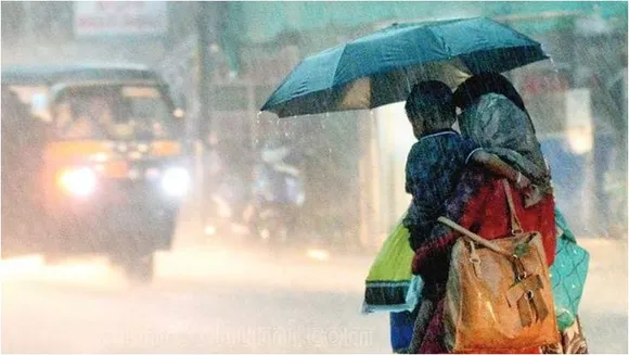 rain