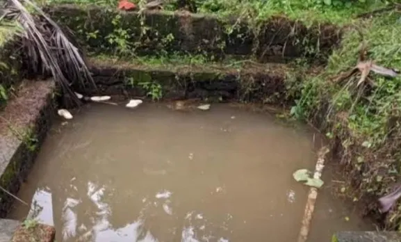 pond