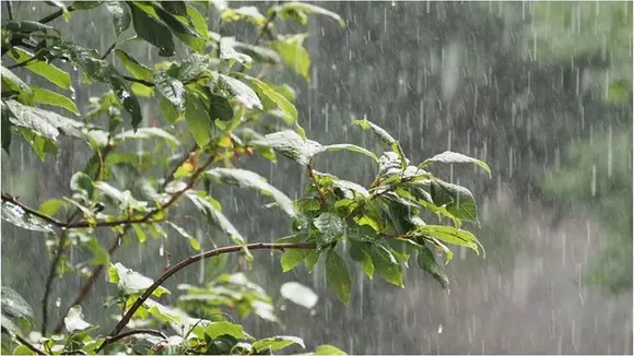 rain
