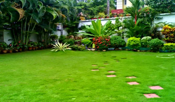 വീടുകള്‍ക്കു മുന്നിലെ പച്ചപ്പരവതാനി 