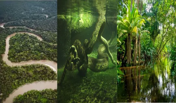 ഇന്ത്യയുടെ ഇരട്ടി വിസ്തൃതി; പതിയിരിക്കുന്നത് വന്‍അപകടങ്ങള്‍, നിഗൂഢത നിറഞ്ഞ് ആമസോണ്‍