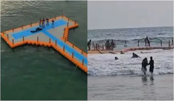 വർക്കലയിൽ ഫ്ലോട്ടിം​ഗ് ബ്രിഡ്ജ് തകർന്ന സംഭവം; ​ഗുരുതര വീഴ്ച, കയ്യൊഴിഞ്ഞ് സർക്കാർ ടൂറിസം ഏജൻസികൾ
