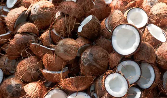 കാര്‍ഷിക മേഖലയെ തളര്‍ത്തി നാളികേരോത്പന്നങ്ങളുടെ വിലത്തകര്‍ച്ച