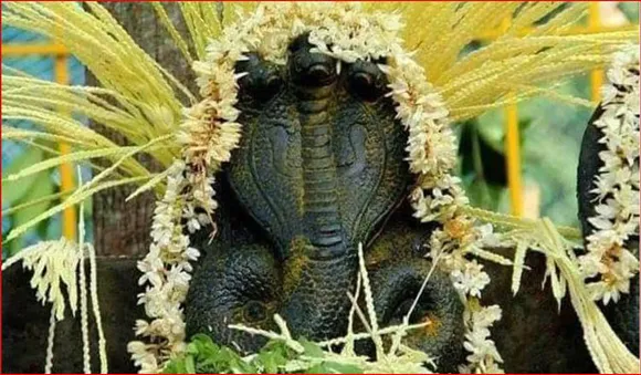 സര്‍പ്പദോഷം പൂര്‍ണ്ണമായും പ്രതിരോധിക്കാം