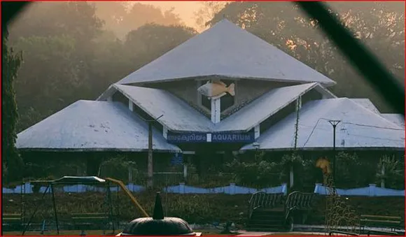 അരാ പൈമ, ഫ്‌ലവര്‍ ഹോണ്‍, അരോണ; മത്സ്യങ്ങളുടെ മനോഹര കാഴ്ചയൊരുക്കി നെയ്യാര്‍ ഡാം അക്വേറിയം