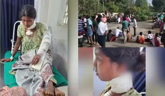 പുലിയുടെ ആക്രമണത്തില്‍ മൂന്ന് പേര്‍ക്ക് പരിക്ക്: റോഡ് ഉപരോധിച്ച് നാട്ടുകാര്‍