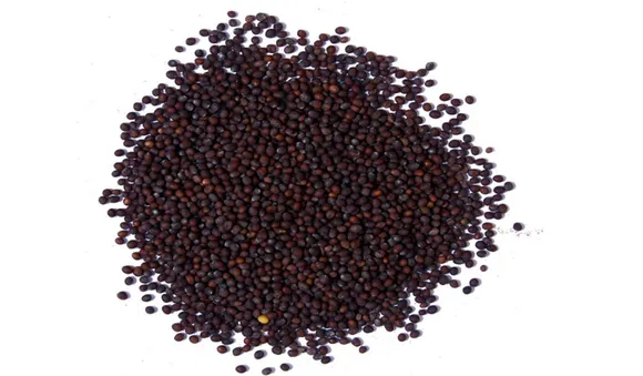 കടുകും വിശ്വാസവും 