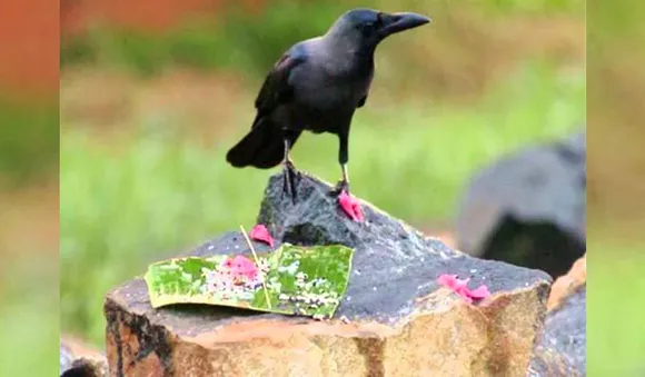 മരണാനന്തര ചടങ്ങിൽ കാക്കയുടെ പ്രാധാന്യം