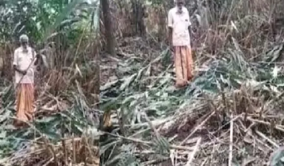 ആദിവാസി കര്‍ഷകന്റെ ഒന്നരയേക്കര്‍ കൃഷി വെട്ടി നശിപ്പിച്ചു