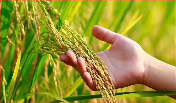 കര്‍ക്കടക കാലക്കേടുകള്‍ക്ക് അറുതി; ഇന്ന് ചിങ്ങപ്പുലരി