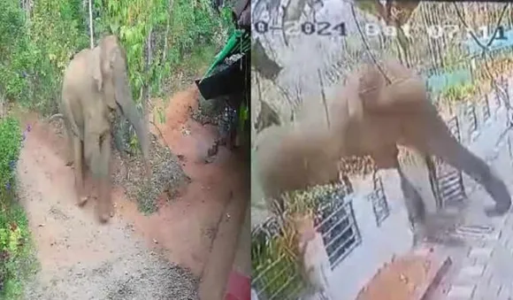 ആളെക്കൊല്ലി കാട്ടാന കർണാടക ഭാഗത്തേക്ക് നീങ്ങുന്നു; നിരീക്ഷിച്ച് ദൗത്യസംഘം, ഓപ്പറേഷൻ മഖ്‌ന ഉടൻ