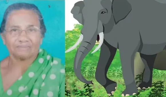 മന്ത്രി വരട്ടെ; കാട്ടാന ആക്രമണത്തില്‍ കൊല്ലപ്പെട്ട വയോധികയുടെ മൃതദേഹവുമായി പ്രതിഷേധം