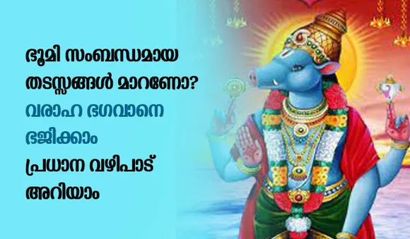 ഭൂമി സംബന്ധമായ തടസ്സങ്ങള്‍ മാറണോ? വരാഹ ഭഗവാനെ ഭജിക്കാം, പ്രധാന വഴിപാട് അറിയാം