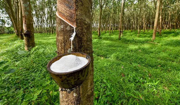 കുത്തകകള്‍ക്കുള്ള ആദ്യ താക്കീത്