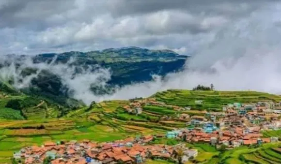 ഊട്ടിയില്‍ മഞ്ഞുവീഴ്ച; വെള്ളപുതച്ച് പുല്‍മേടുകള്‍; സഞ്ചാരികളുടെ ഒഴുക്ക്