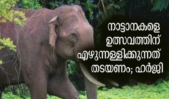 നാട്ടാനകളെ ഉത്സവത്തിന് എഴുന്നള്ളിക്കുന്നത് തടയണം; ഹര്‍ജിയില്‍ ഇടപെടാന്‍ വിസമ്മതിച്ച് സുപ്രീം കോടതി