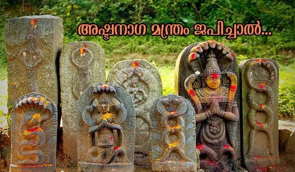അഷ്ടനാഗ മന്ത്രം ജപിച്ചാല്‍...