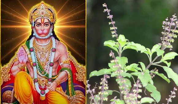 ഹനുമത്പാദങ്ങളില്‍ തുളസി സമര്‍പ്പിക്കരുത്