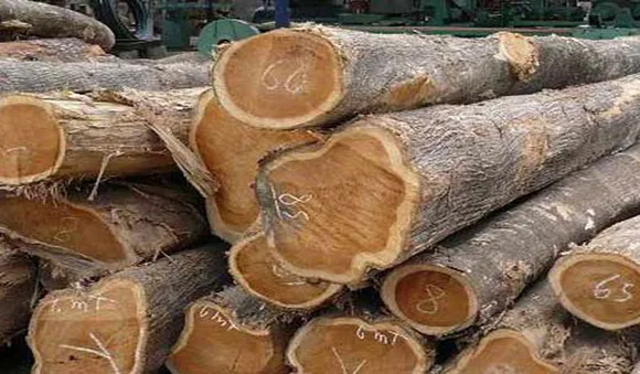  നിലമ്പൂര്‍ തേക്കു കണ്ടാലറിയാം 