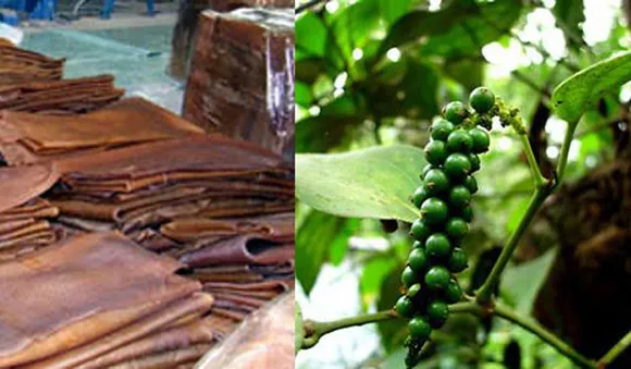 റബ്ബറിനും കുരുമുളകിനും വില കുറഞ്ഞു ; കർഷകർ ദുരിതത്തിൽ