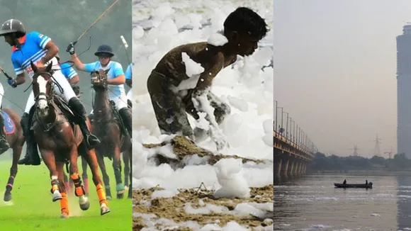 Copy of Local Samosa FI