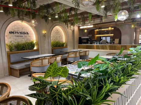 d252dc1f-2057-4e13-85dc-dbea61ed492f