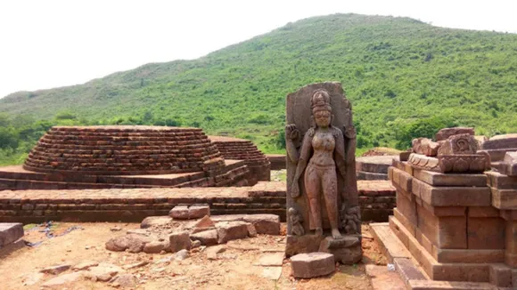 Copy of Local Samosa FI - 1