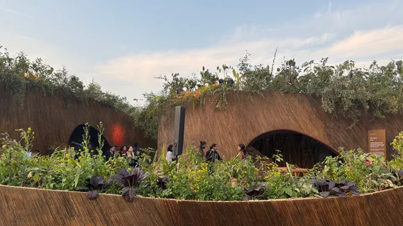 Copy of Local Samosa FI - 4