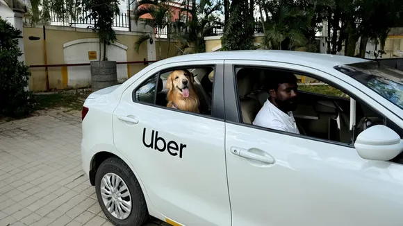 Uber pet 