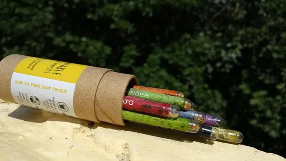 Buy Stationery That Can Grow Into Plants by Gift Studio