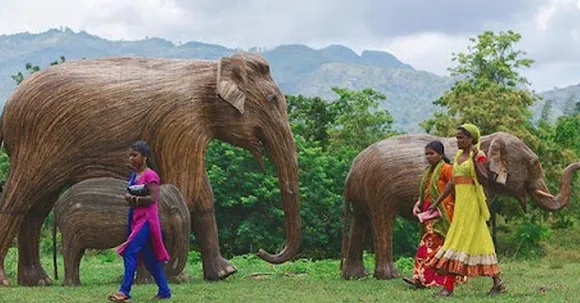 the real elephant collective