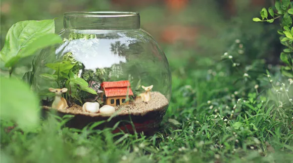 Add some greenery to your lives. Order a plant friend from these nurseries delivering in Mumbai