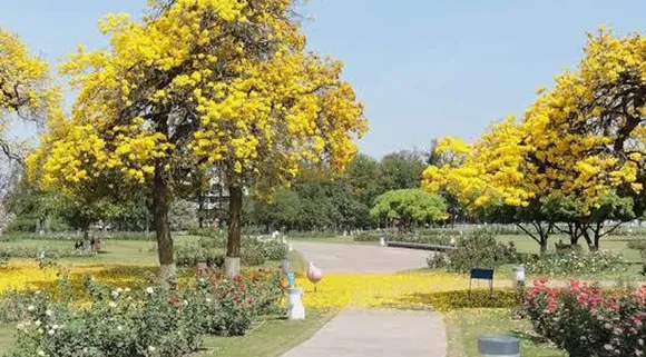 Chandigarh vali winters- Things to look out for!