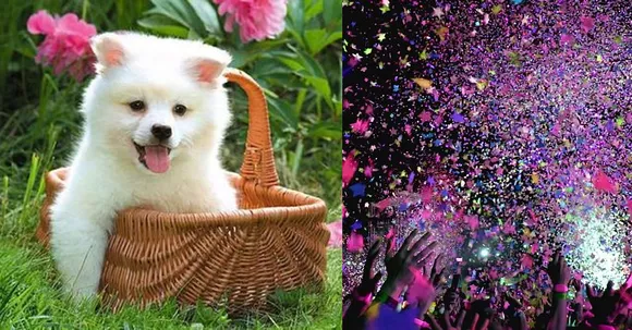 Events between May 16 to May 22 in your cities for those who love to explore!