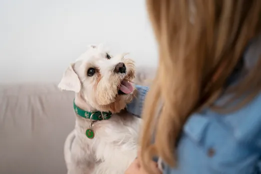 Pet ID Tags
