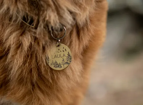 pet tag