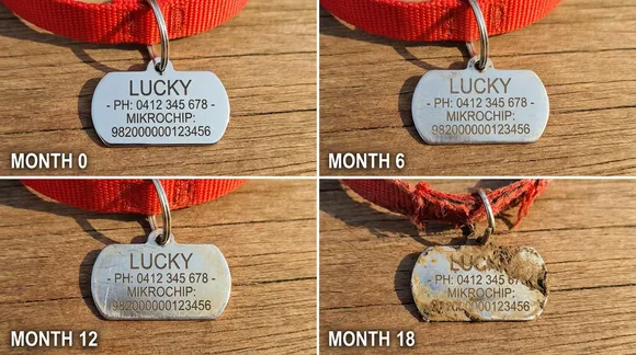 Timeline showing engraved dog tag degradation from new to unreadable over 18 months in Australian conditions