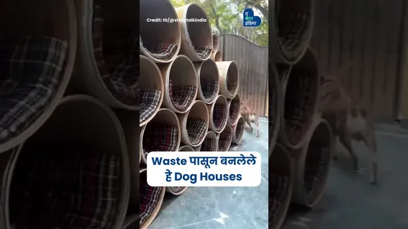 1200+ भटक्या कुत्र्यांना थंडीपासून दिलासा | Dog Shelter | Animal Lover | Delhi Winter