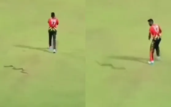 Former Sri Lanka cricketer escapes snake encounter during Lanka Premier League 2023