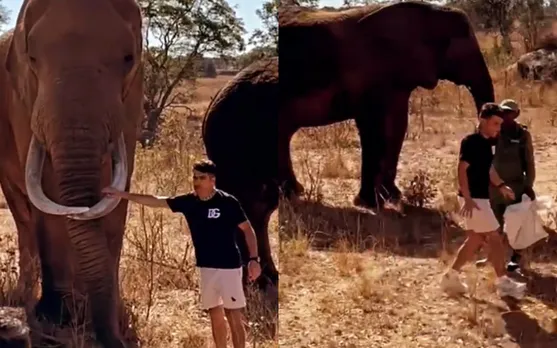 WATCH: Rahmanullah Gurbaz goes near elephant, runs away after it's slight movement