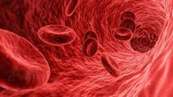 Cells RBC Iron.jpg