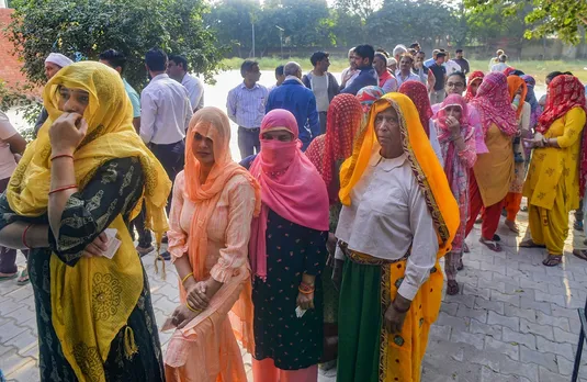 Haryana Elections Voting