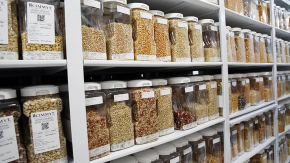 seeds bank.jpg