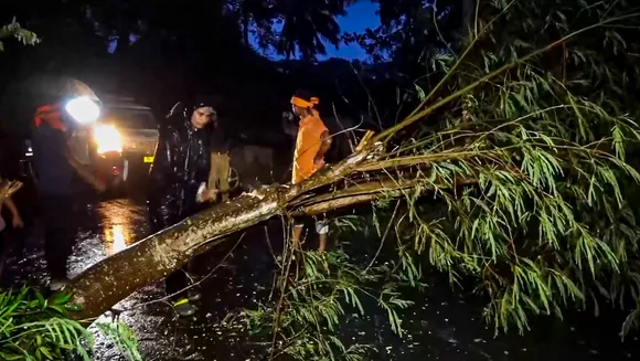 An uprooted tree being removed as cyclone 'Dana' approaches towards Odisha coast, in Kendrapara, Thursday, Oct. 24, 2024.