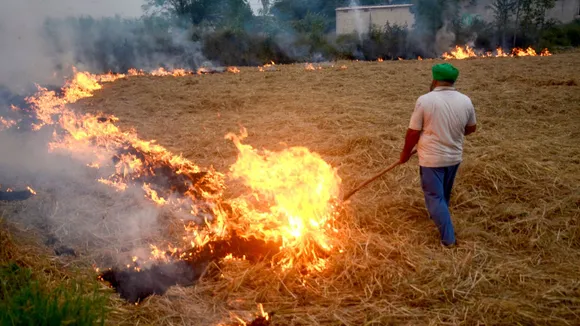 A farmer burns the stubble harvesting the paddy crop, in Patiala, Sunday, Oct. 27, 2024.