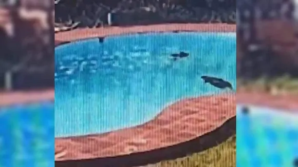 Three women allegedly drowned in a swimming pool at a resort near Ullal beach here on Sunday